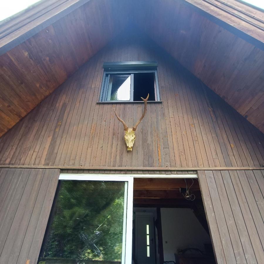 Chalet- Vallee De Luchon - Vallee De La Pique Cierp المظهر الخارجي الصورة